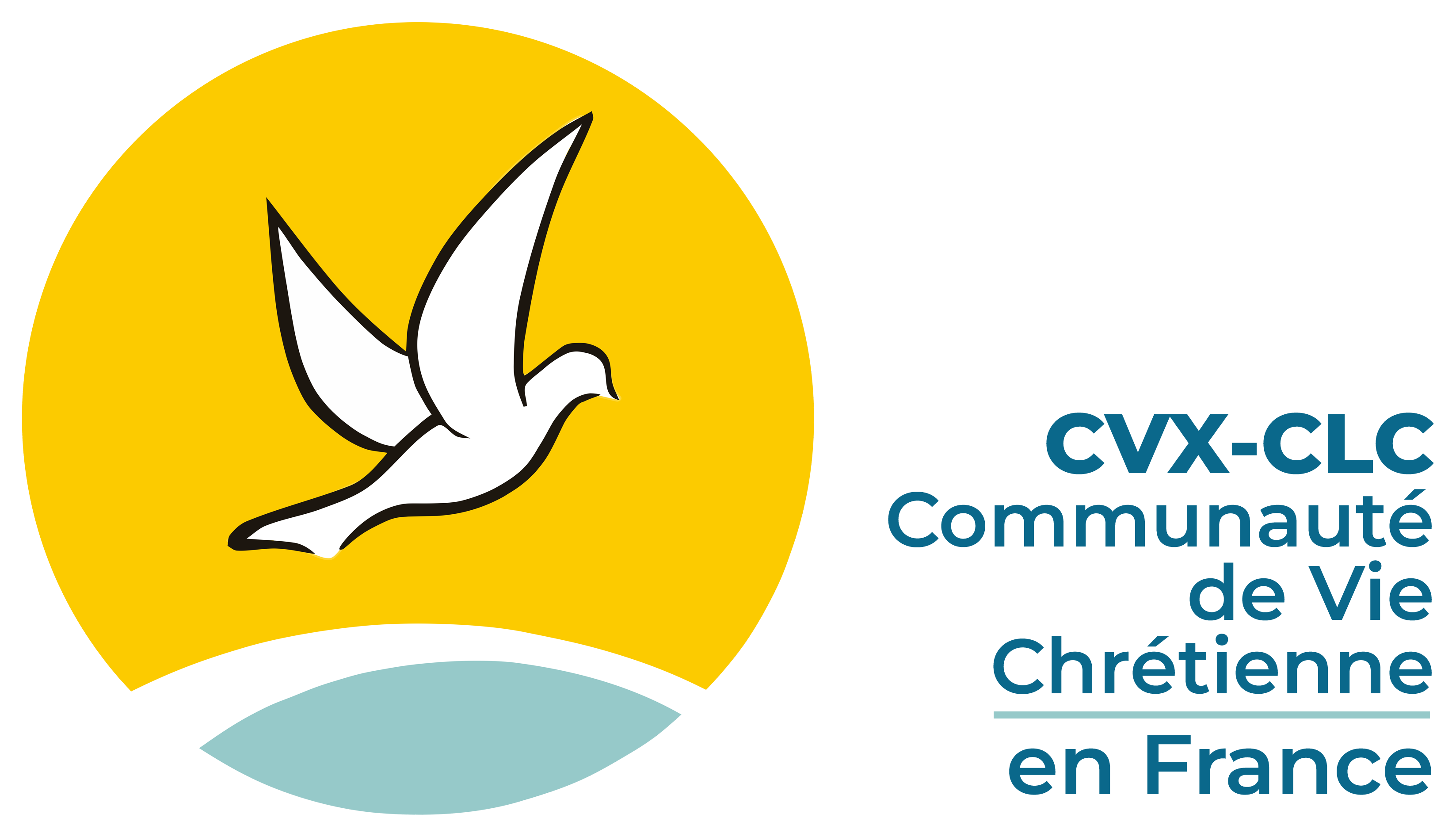 Logo CVX en France