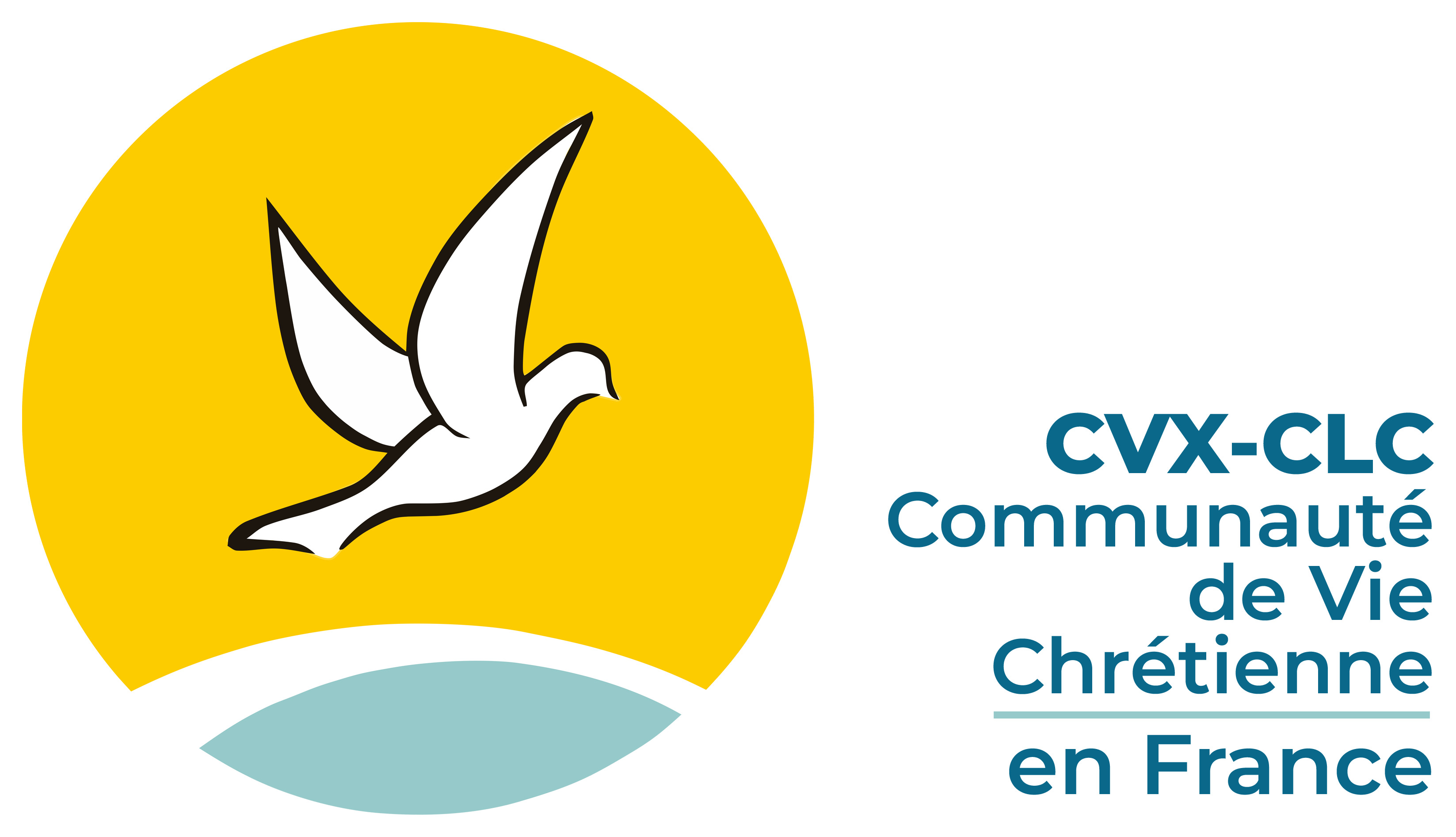 Logo CVX France   JPG